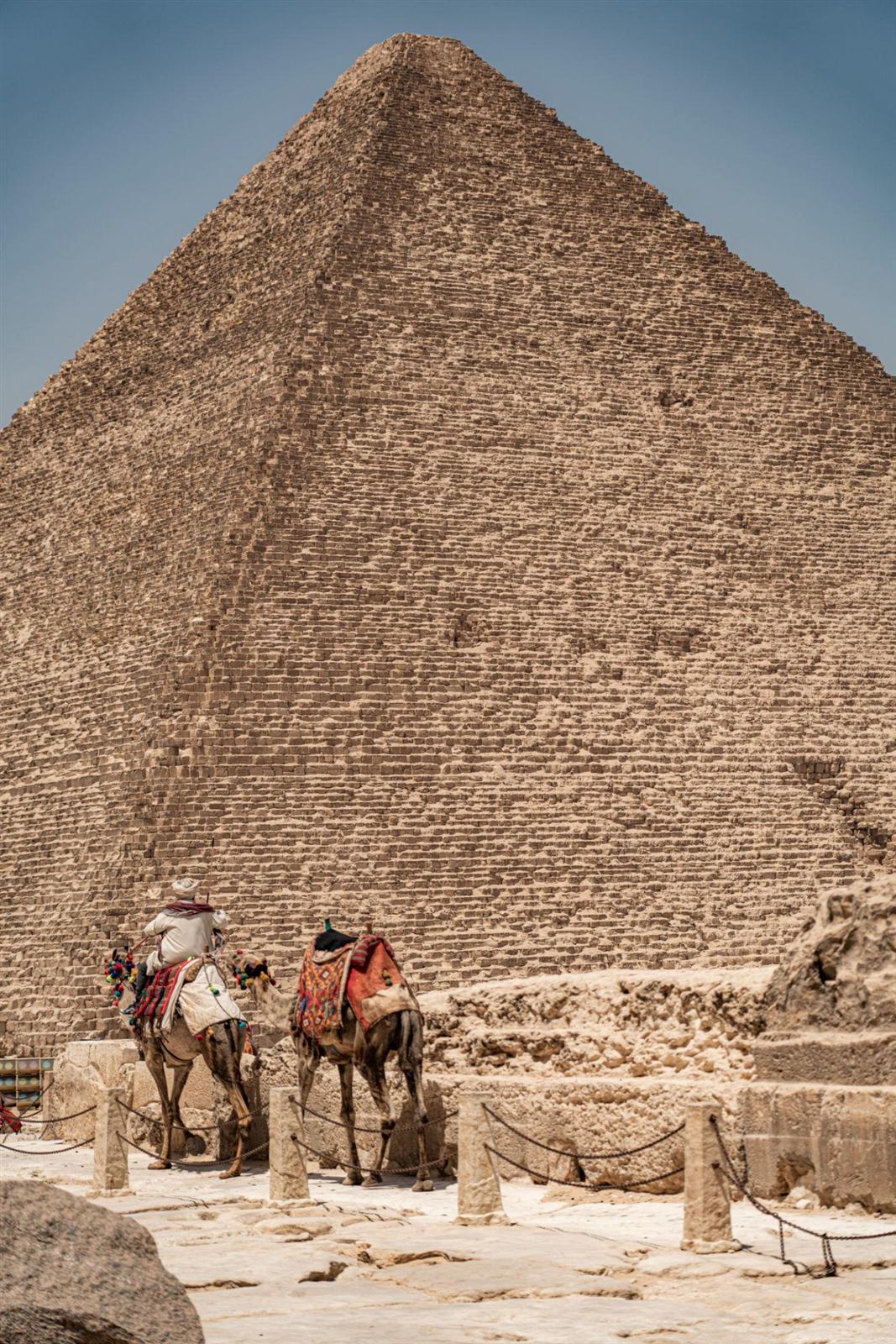 مصر